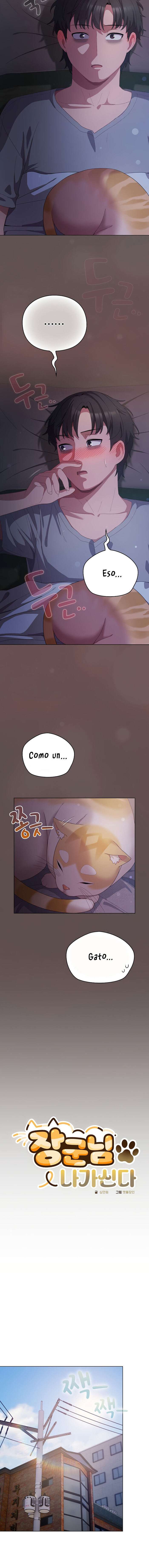 Maullidos de amor Capítulo 10 - Página 12