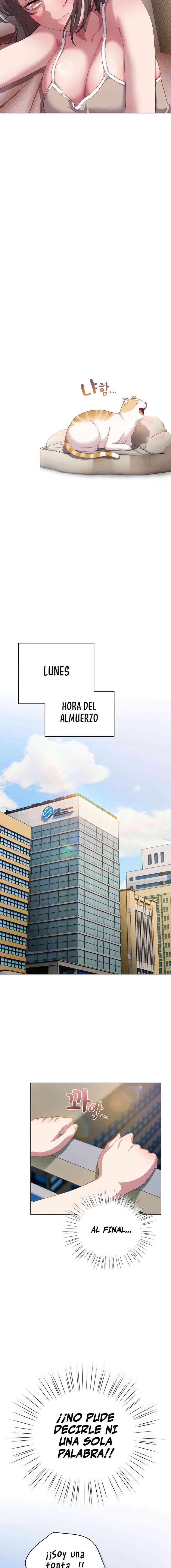 Maullidos de amor Capítulo 11 - Página 17