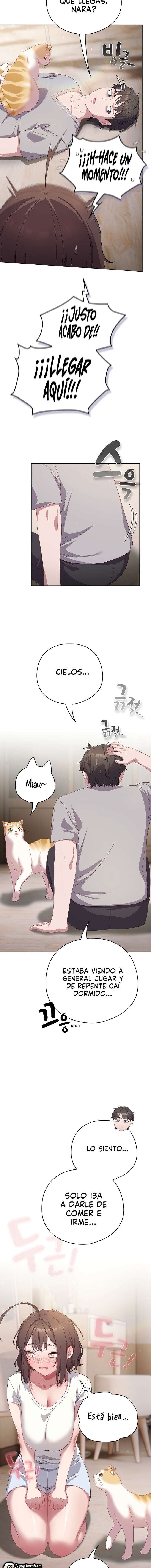 Maullidos de amor Capítulo 13 - Página 7