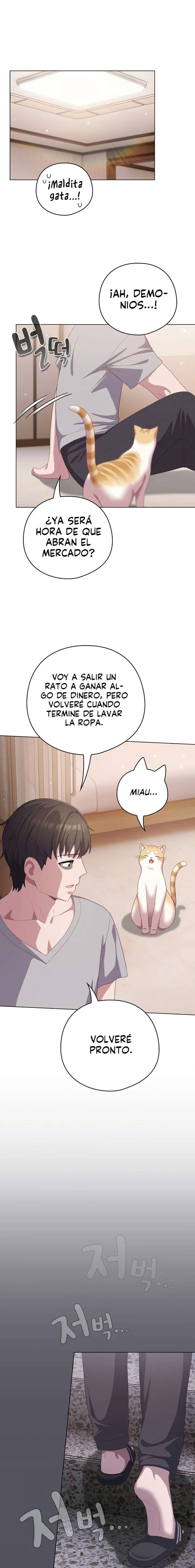 Maullidos de amor Capítulo 18 - Página 17