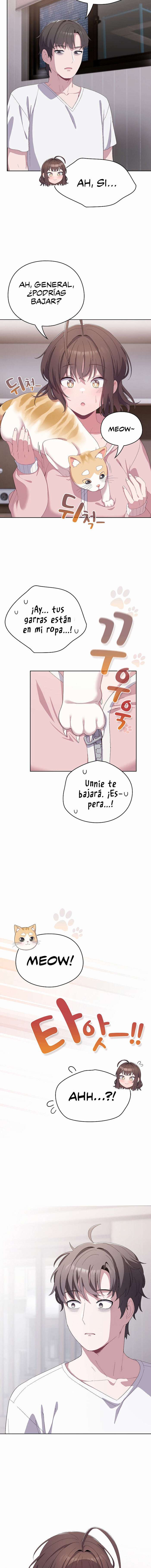 Maullidos de amor Capítulo 2 - Página 16