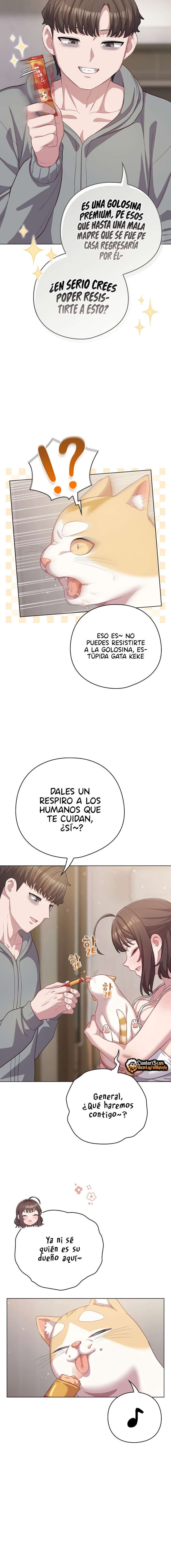 Maullidos de amor Capítulo 33 - Página 11