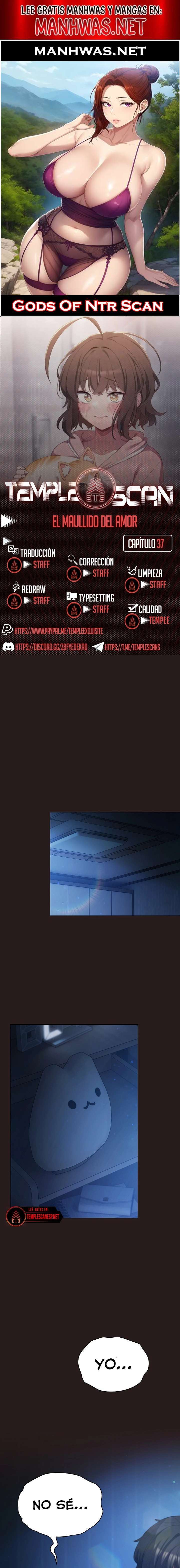 Maullidos de amor Capítulo 37 - Página 1