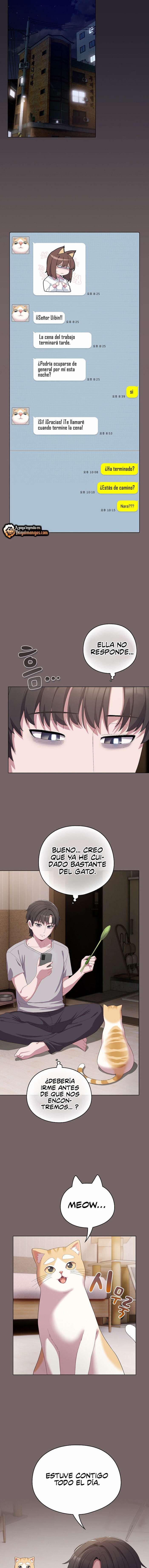Maullidos de amor Capítulo 4 - Página 16
