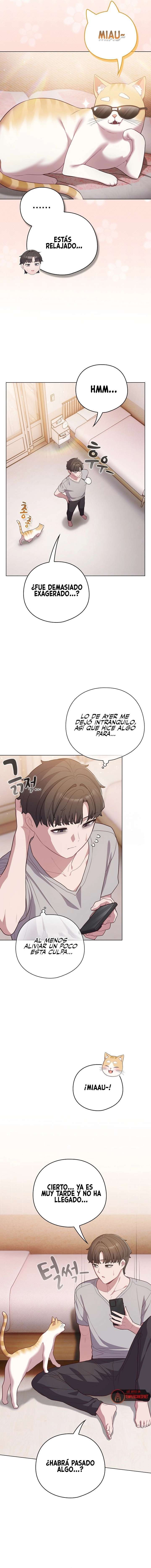 Maullidos de amor Capítulo 46 - Página 11