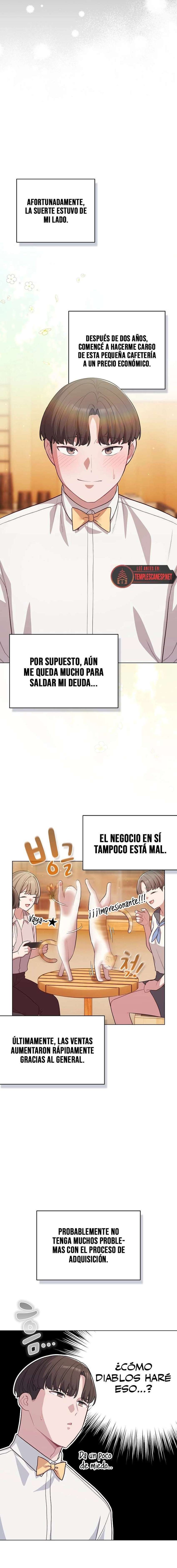 Maullidos de amor Capítulo 53 - Página 19