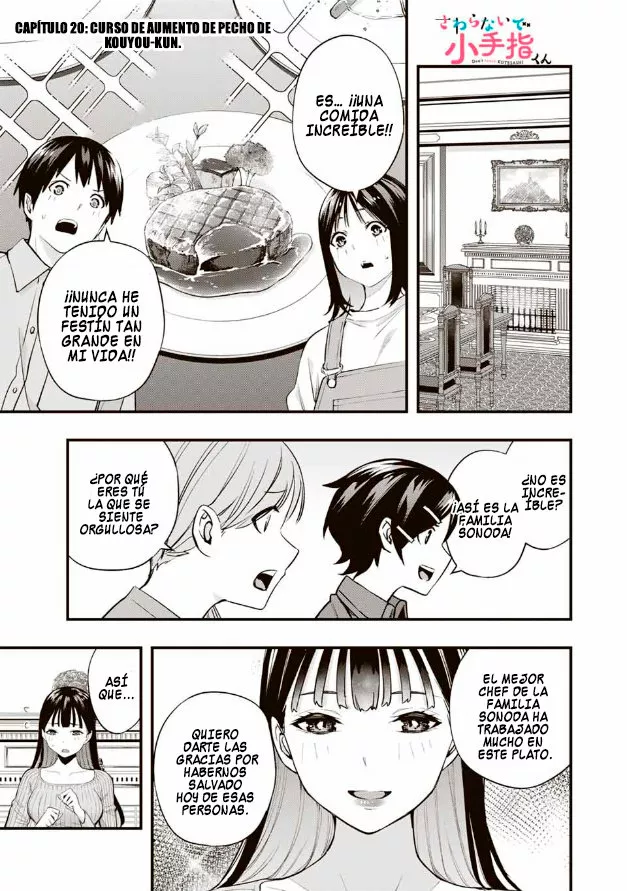 Sawaranaide Kotesashi-kun Capítulo 20 - Página 2