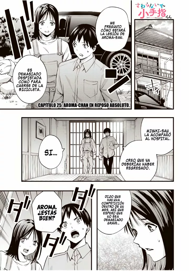 Sawaranaide Kotesashi-kun Capítulo 25 - Página 2