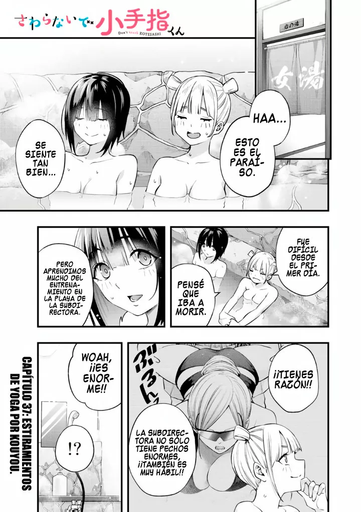 Sawaranaide Kotesashi-kun Capítulo 37 - Página 2
